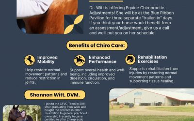 Trailer in-Chiropractic Day (Equine)