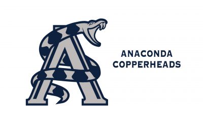 Copperhead Athletics – Girls Volleyball