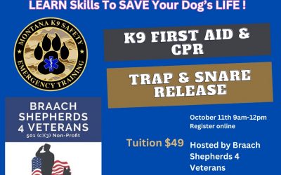 3 Hour K9 First Aid Workshop