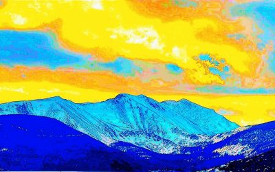 James Rosien Art Reception