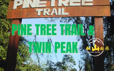 Pine Tree Hill & Twin Peak