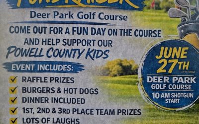 Swing for the kids