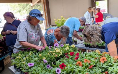 Anaconda Garden Club Plant Sale!