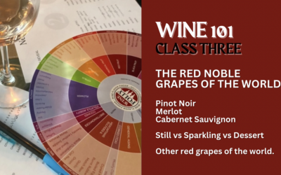 Wine 101-Class 3-The Red Noble Grapes of the World