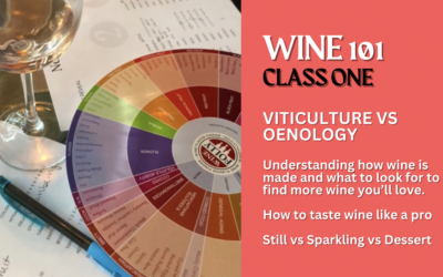 Wine 101-Class One-Winemaking vs Oenology